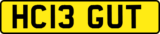 HC13GUT