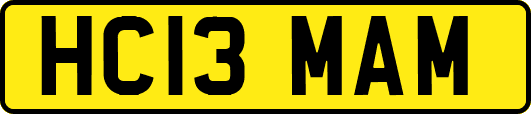 HC13MAM