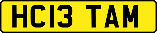 HC13TAM