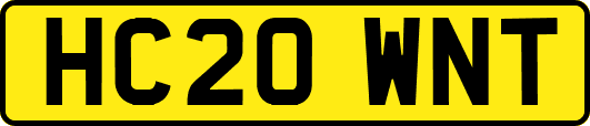 HC20WNT