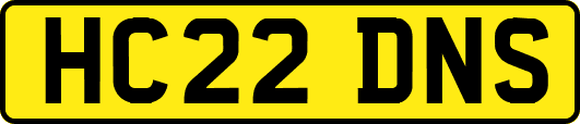 HC22DNS