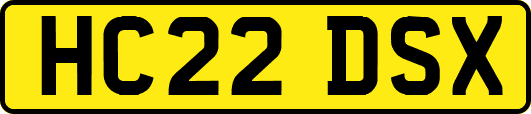 HC22DSX