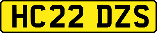HC22DZS