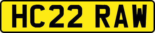 HC22RAW