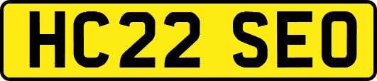 HC22SEO