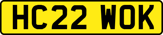 HC22WOK