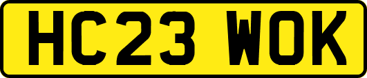 HC23WOK