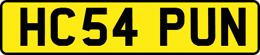 HC54PUN