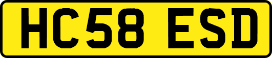 HC58ESD