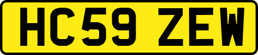 HC59ZEW