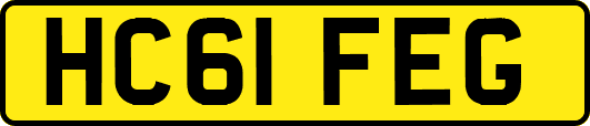 HC61FEG