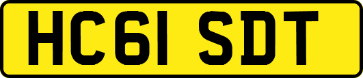 HC61SDT