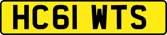 HC61WTS