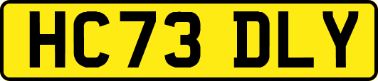 HC73DLY
