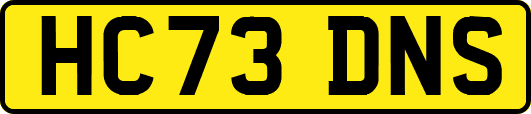 HC73DNS