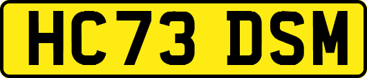 HC73DSM