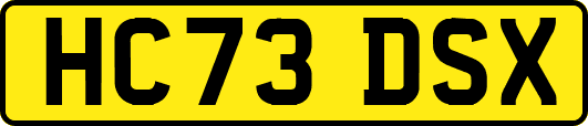 HC73DSX