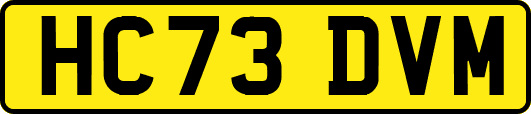 HC73DVM