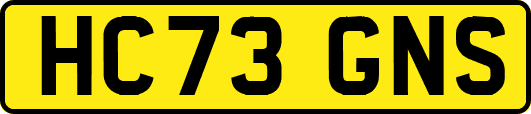 HC73GNS