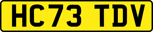 HC73TDV