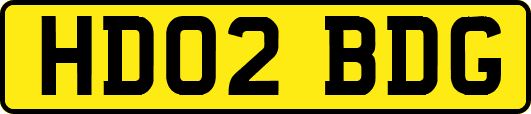 HD02BDG