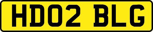 HD02BLG