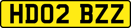 HD02BZZ