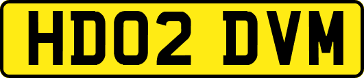 HD02DVM