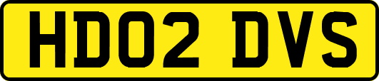 HD02DVS