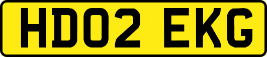 HD02EKG