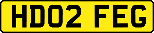 HD02FEG