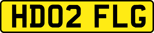 HD02FLG