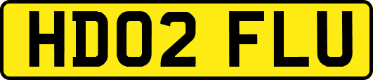 HD02FLU