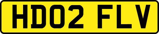 HD02FLV