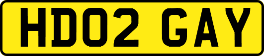 HD02GAY