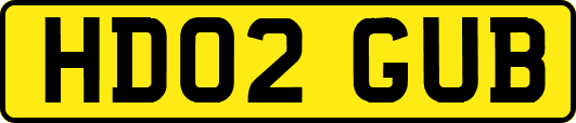 HD02GUB