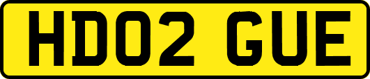HD02GUE