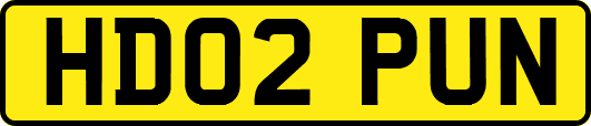 HD02PUN