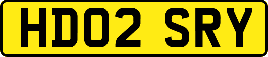 HD02SRY