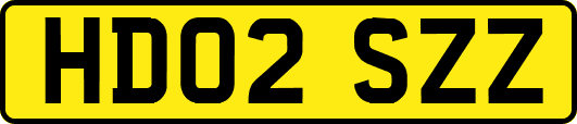 HD02SZZ