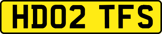 HD02TFS
