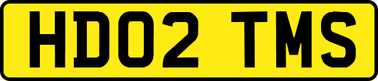 HD02TMS
