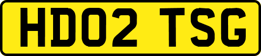 HD02TSG