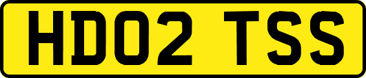 HD02TSS