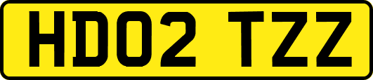 HD02TZZ