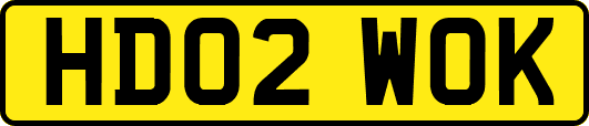 HD02WOK