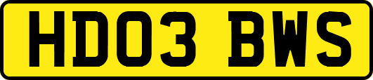 HD03BWS