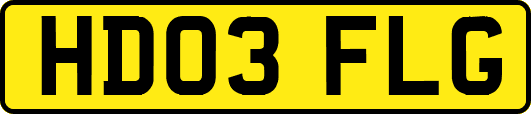 HD03FLG