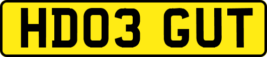 HD03GUT