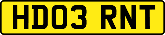 HD03RNT